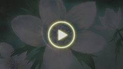 第二弾PV